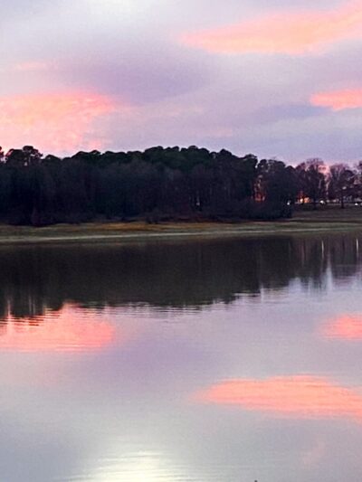 Enid Lake - Pope, MS