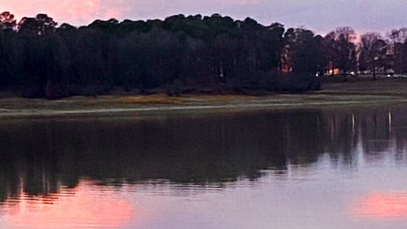 Enid Lake - Pope, MS