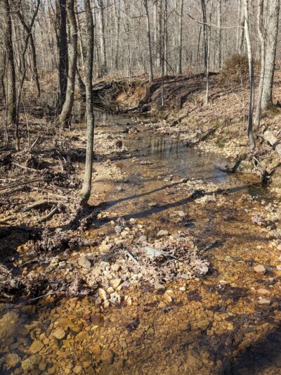 Wolf Creek south trailhead - Poplar Bluff, MO