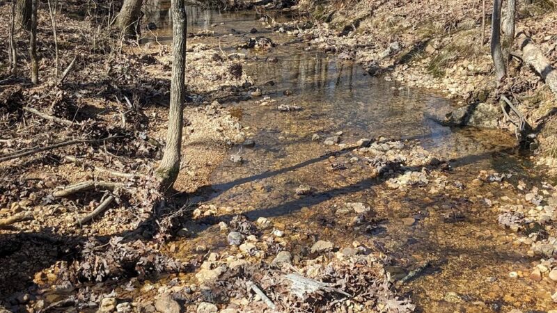 Wolf Creek south trailhead - Poplar Bluff, MO