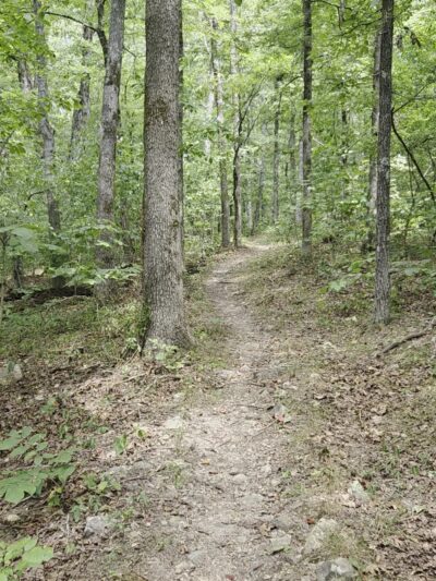 Wolf Creek south trailhead - Poplar Bluff, MO