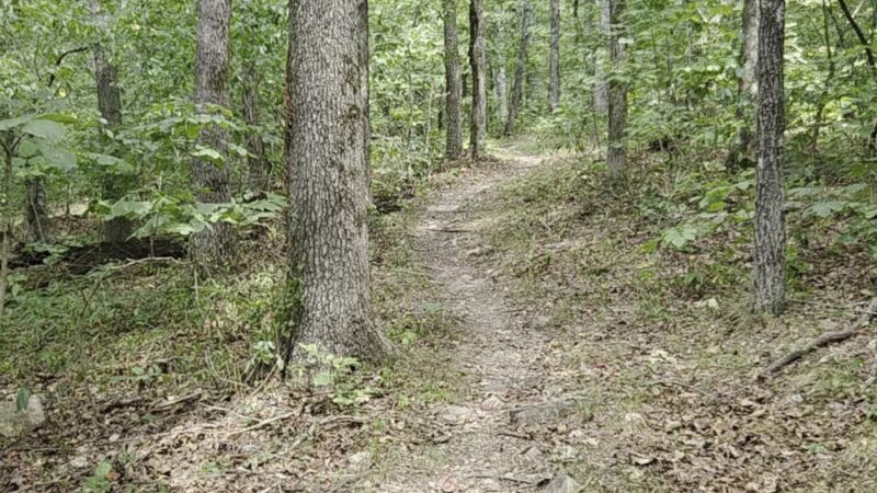Wolf Creek south trailhead - Poplar Bluff, MO