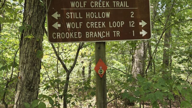 Wolf Creek south trailhead - Poplar Bluff, MO