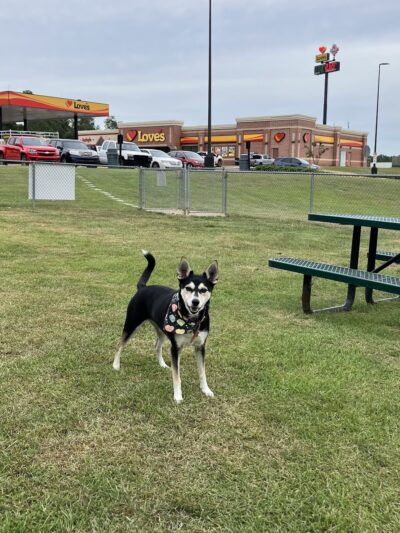 Dog Park at Love's Travel Stops - Poplarville, MS