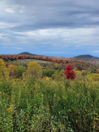 State Game Lands Number 61 - Port Allegany, PA