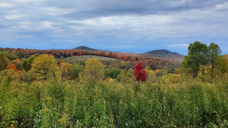 State Game Lands Number 61 - Port Allegany, PA