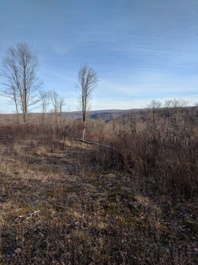 State Game Lands Number 61 - Port Allegany, PA