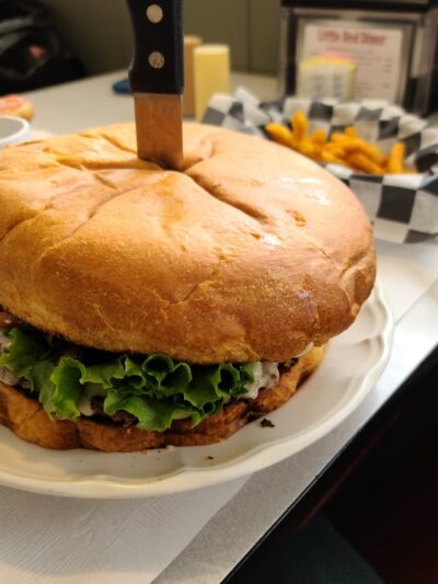The Little Red Diner - Port Allegany, PA