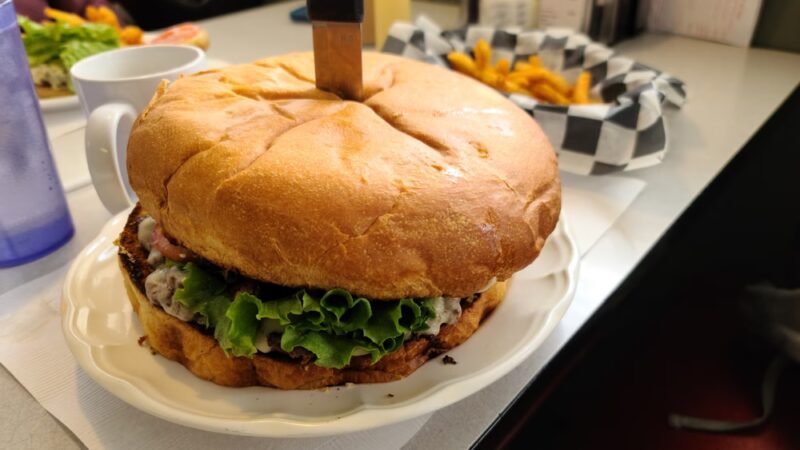 The Little Red Diner - Port Allegany, PA
