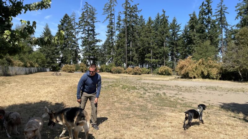 Port Angeles Dog Park - Port Angeles, WA