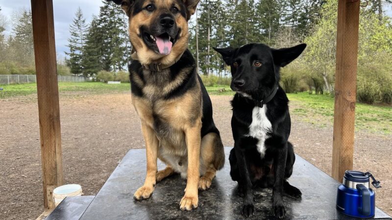 Port Angeles Dog Park - Port Angeles, WA