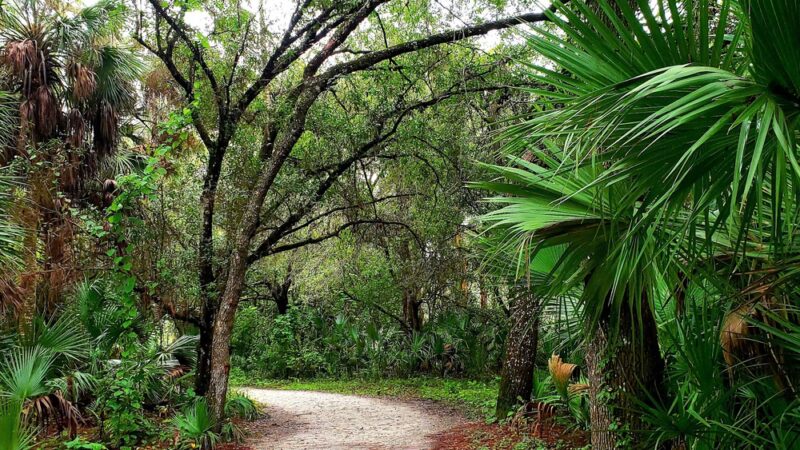 Larry Taylor Kiwanis Park - Port Charlotte, FL