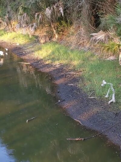 Larry Taylor Kiwanis Park - Port Charlotte, FL