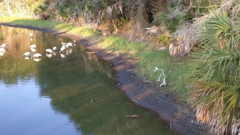 Larry Taylor Kiwanis Park - Port Charlotte, FL