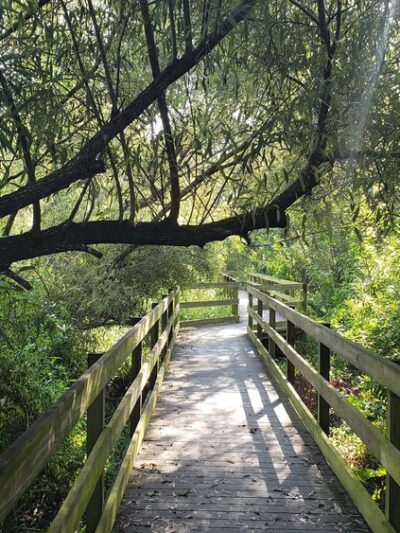 Larry Taylor Kiwanis Park - Port Charlotte, FL