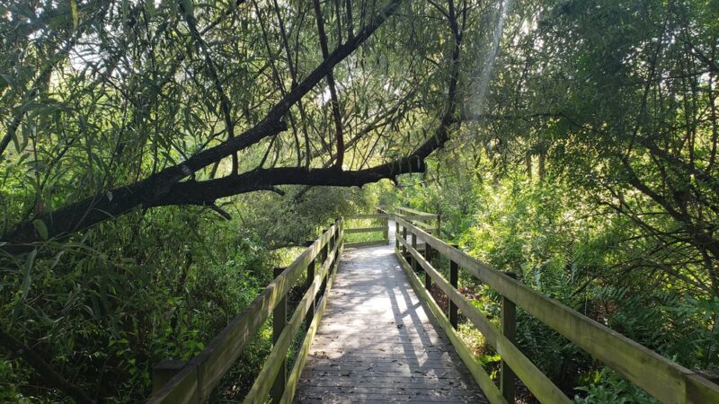 Larry Taylor Kiwanis Park - Port Charlotte, FL