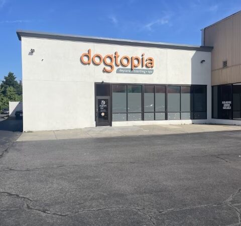 Dogtopia of Port Chester - Port Chester, NY
