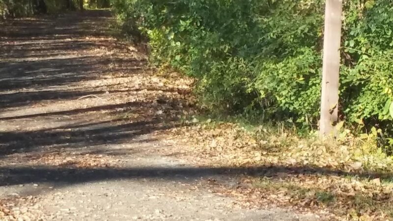 Port Gibson - Port Gibson, NY