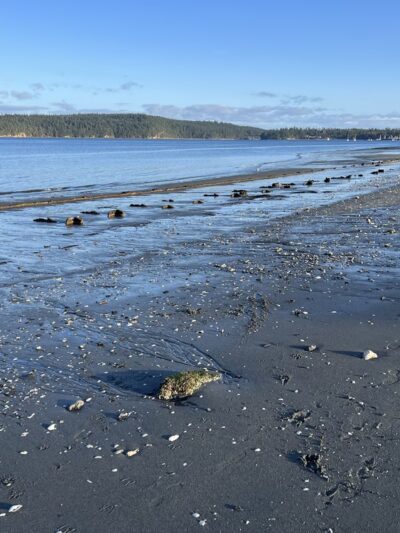 Irondale Beach County Park - Port Hadlock-Irondale, WA