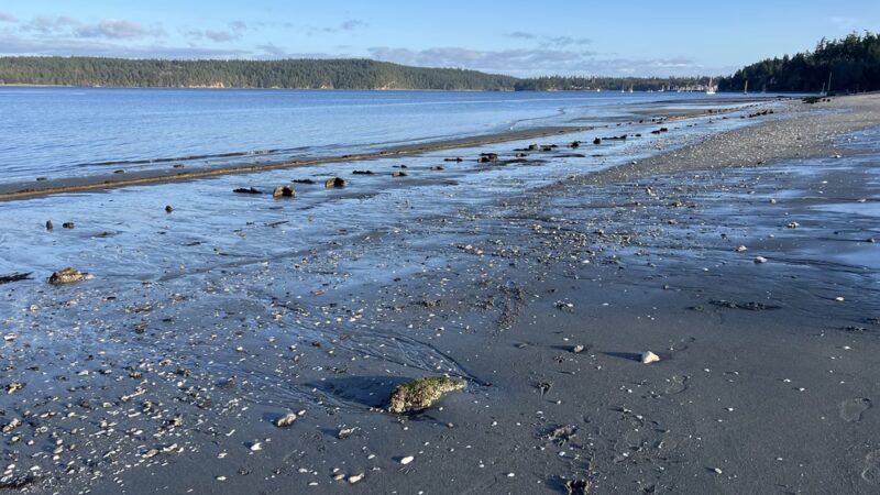 Irondale Beach County Park - Port Hadlock-Irondale, WA