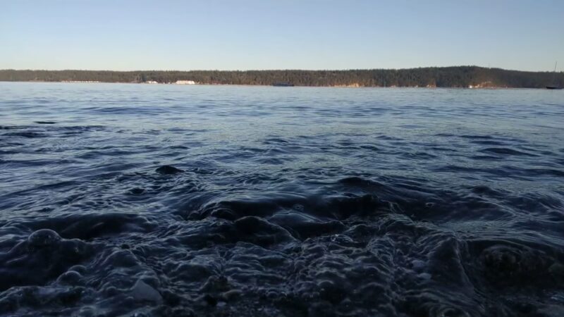 Irondale Beach County Park - Port Hadlock-Irondale, WA