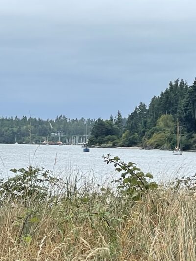 Irondale Beach County Park - Port Hadlock-Irondale, WA