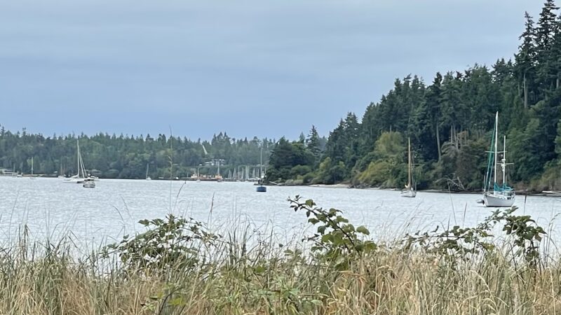 Irondale Beach County Park - Port Hadlock-Irondale, WA