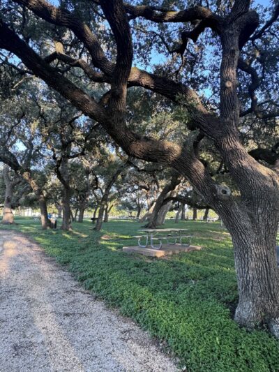 Wilson Park - Port Lavaca, TX