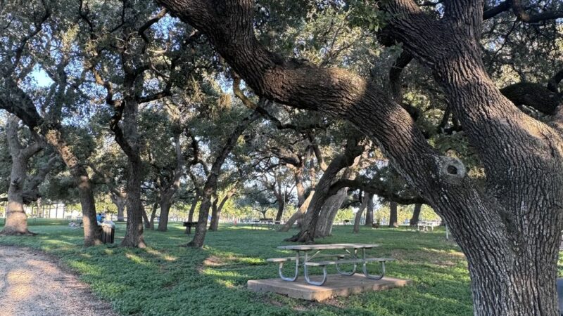 Wilson Park - Port Lavaca, TX