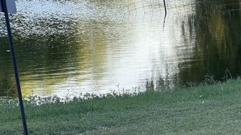 Wilson Park - Port Lavaca, TX