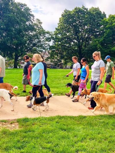 Digman Canine Academy - Port Matilda, PA