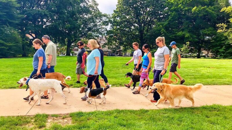 Digman Canine Academy - Port Matilda, PA