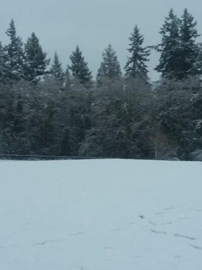 Veterans Memorial Park - Port Orchard, WA