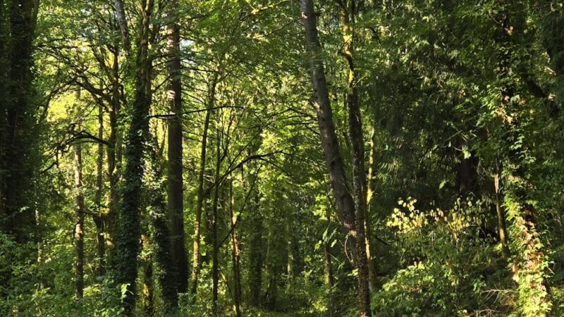Veterans Memorial Park - Port Orchard, WA