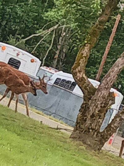 Veterans Memorial Park - Port Orchard, WA