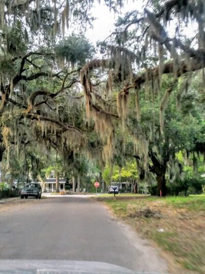 Live Oaks Park - Port Royal, SC