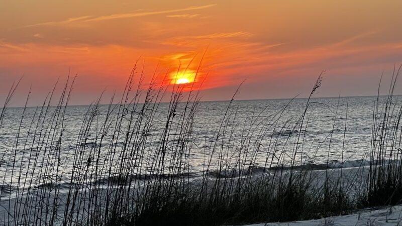 Mexico Beach - Beach Access - Port St Joe, FL