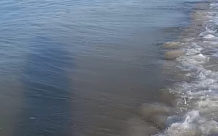 Mexico Beach - Beach Access - Port St Joe, FL