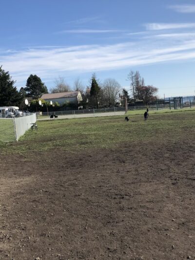 Mountain View Dog Park - Port Townsend, WA