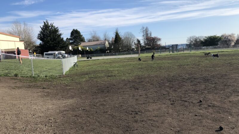 Mountain View Dog Park - Port Townsend, WA