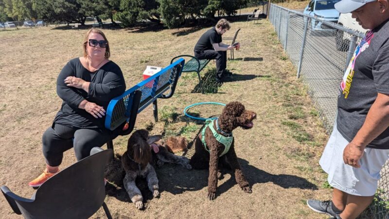 Mountain View Dog Park - Port Townsend, WA