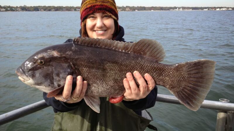 ANGLER Fishing Fleet - Port Washington, NY
