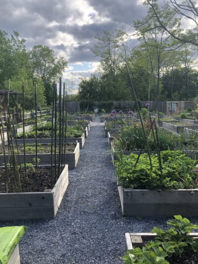 Growing Love Community Garden - Port Washington, NY