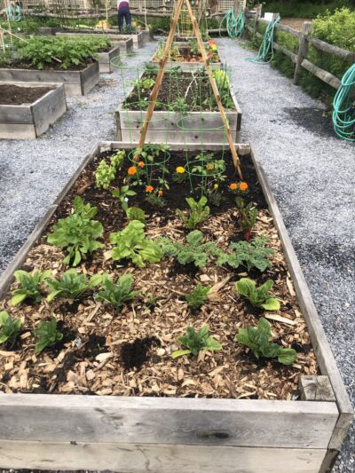 Growing Love Community Garden - Port Washington, NY