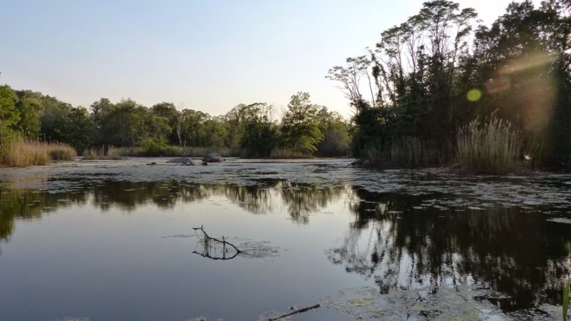 Hempstead Harbor Natural Area - Port Washington, NY
