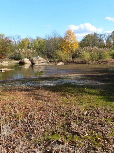 Hempstead Harbor Natural Area - Port Washington, NY