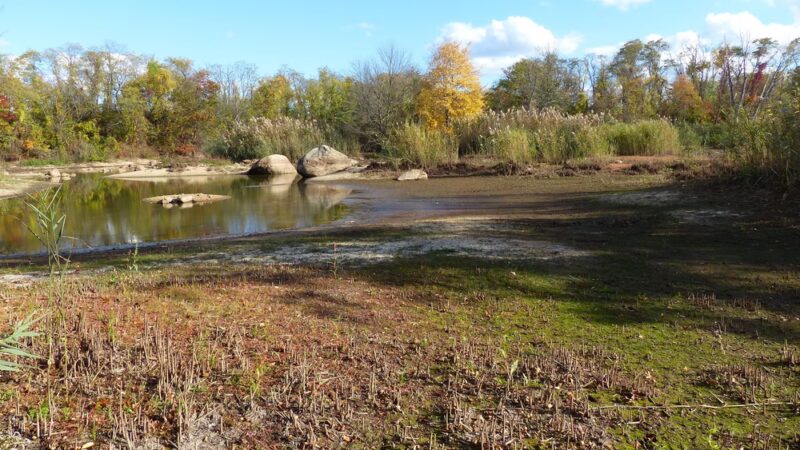 Hempstead Harbor Natural Area - Port Washington, NY