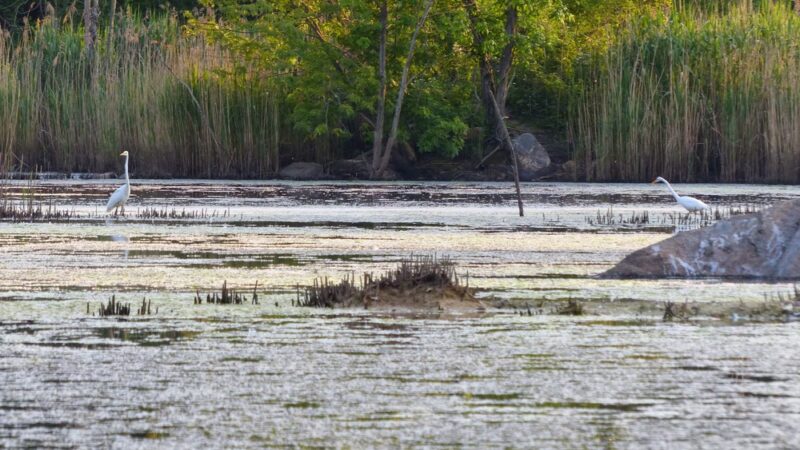 Hempstead Harbor Natural Area - Port Washington, NY