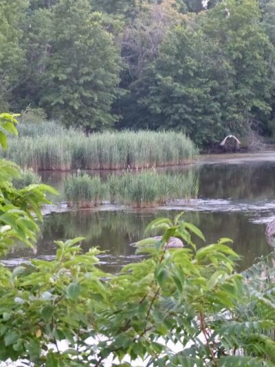 Hempstead Harbor Natural Area - Port Washington, NY