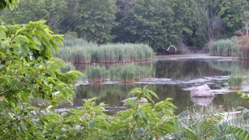 Hempstead Harbor Natural Area - Port Washington, NY